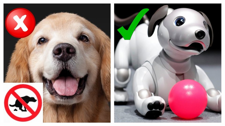 Obrázek berte jako nadsázku. Živého parťáka robotická hračka opravdu nenahradí. Ale je s ní méně starostí...